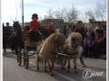 20140126-047_rua.jpg