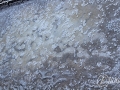 2014-08-05 16h51m23.jpg