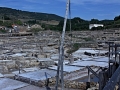 2014-08-05 17h28m41.jpg