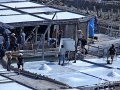 2014-08-05 17h52m33.jpg