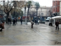 Sant Antoni Abad_014.jpg