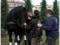 Sant Antoni Abad_081.jpg