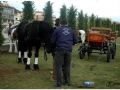 Sant Antoni Abad_082.jpg