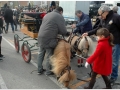 Sant Antoni Abad_116.jpg