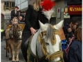 Sant Antoni Abad_159.jpg