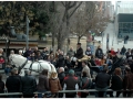 Sant Antoni Abad_187.jpg