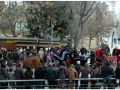 Sant Antoni Abad_193.jpg