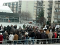 Sant Antoni Abad_196.jpg