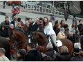 Sant Antoni Abad_220.jpg