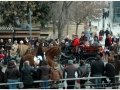 Sant Antoni Abad_243.jpg