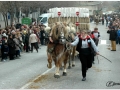 Sant Antoni Abad_263.jpg