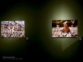 Exposicón de Steve McCurry