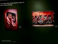 Exposicón de Steve McCurry