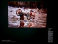 Exposicón de Steve McCurry
