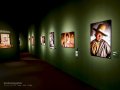 Exposicón de Steve McCurry