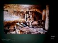 Exposicón de Steve McCurry