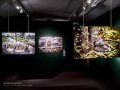 Exposicón de Steve McCurry
