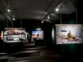 Exposicón de Steve McCurry