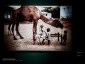 Exposicón de Steve McCurry