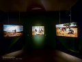 Exposicón de Steve McCurry