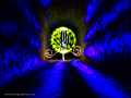 Taller de lightpainting