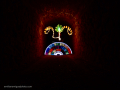 Taller de lightpainting