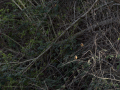 E3310396