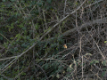 E3310467