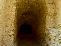 Circo Romano