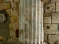 Circo Romano
