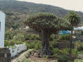 Vacaciones
