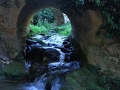 2014-08-05 12h51m45.jpg