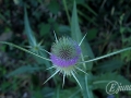 2014-08-05 12h59m05.jpg