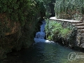 2014-08-05 13h02m22.jpg