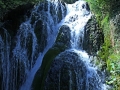2014-08-05 13h03m21.jpg