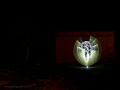 lightpainting