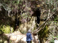 Torrent de Colobrers