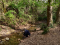 Torrent de Colobrers