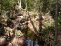 Torrent de Colobrers