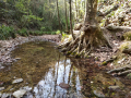 Torrent de Colobrers