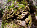 Torrent de Colobrers