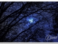 20140315_21-Torrent dels Alous.jpg