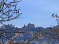 Image00006