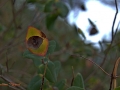 Image00009