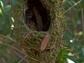 Image00033