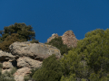 P1120131