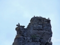 2014-08-04 12h53m09.jpg