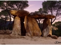 Vallgorgina-01.jpg
