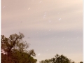 Vallgorgina-03b.jpg