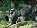 Zoo Barcelona-008
